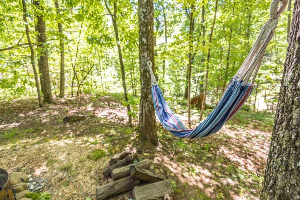 Pet Friendly Luxury Cabin Near Helen With Fire Pit Cleveland Kültér fotó