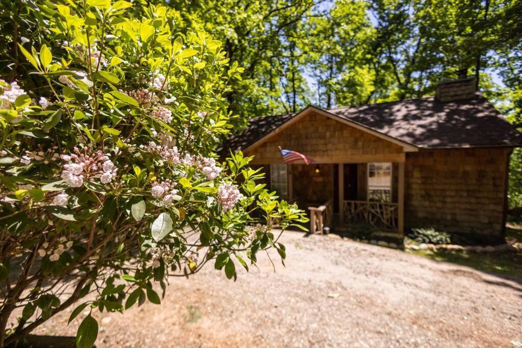 Pet Friendly Luxury Cabin Near Helen With Fire Pit Cleveland Kültér fotó